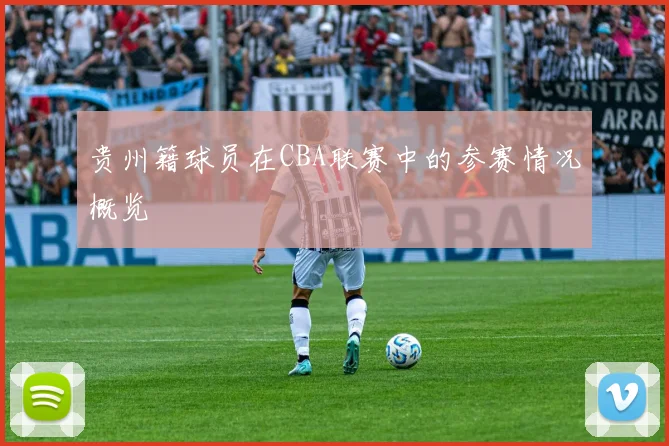 贵州籍球员在CBA联赛中的参赛情况概览