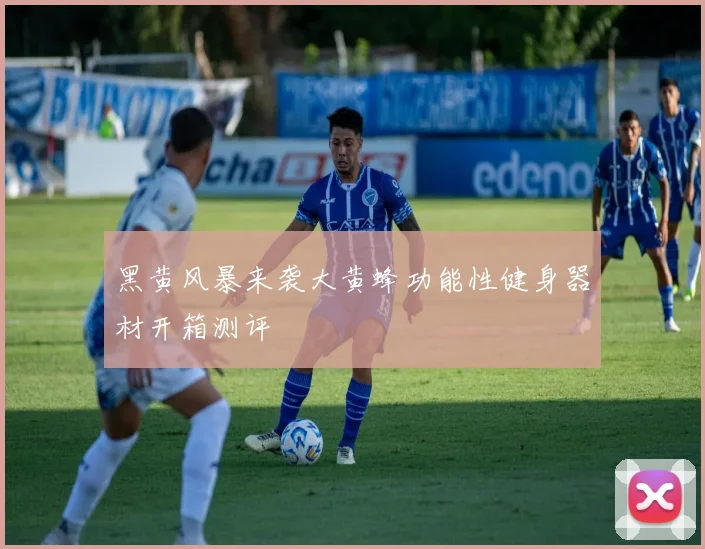 黑黄风暴来袭大黄蜂功能性健身器材开箱测评