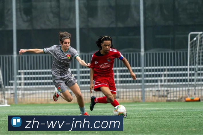 金年会体育发展历程